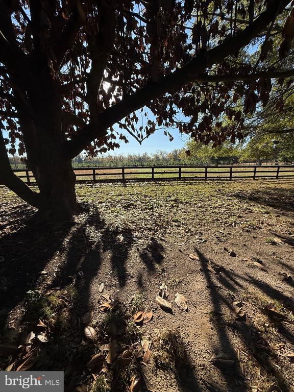 Building Photo - 12441 Ambassador Ln