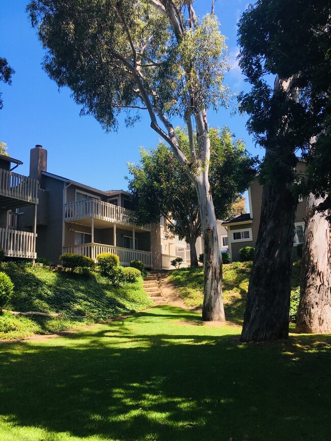 Building Photo - 2210 Canyon Dr