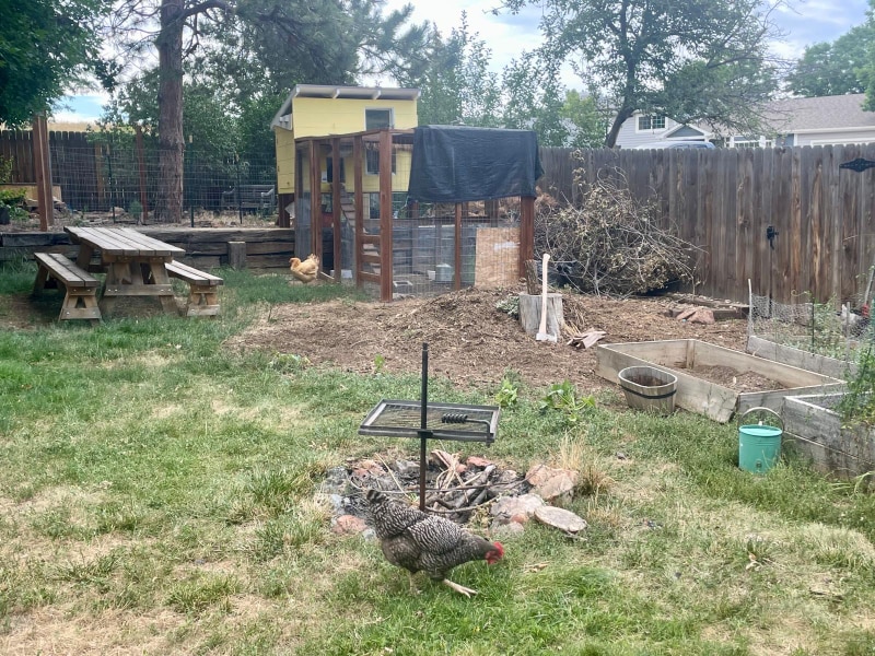 Building Photo - 932 Teal Dr