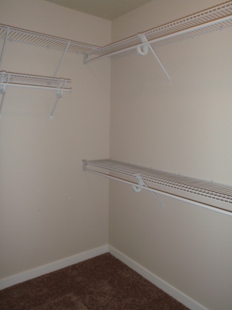 Building Photo - Newer house with attached garage. Half mon...