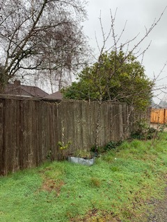 Fenced back yard - 4822 N 14th St