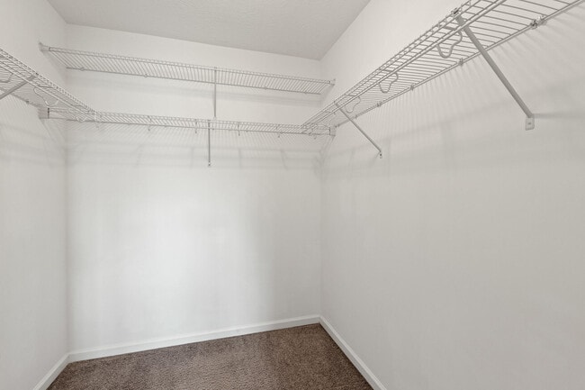 Building Photo - 435 Brantley Cove Cir
