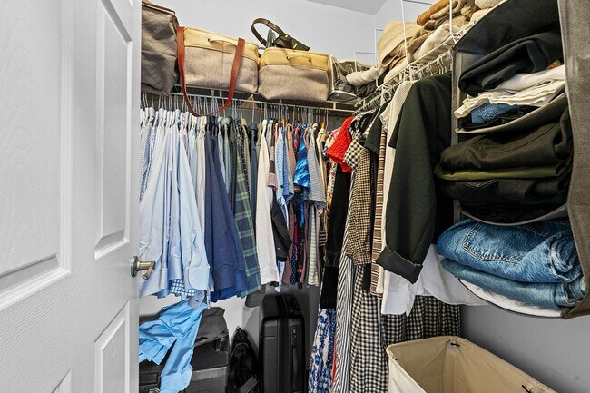 Building Photo - 359 Webster Ave