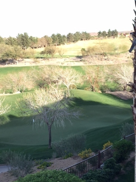 Building Photo - *WONDERFUL CONDO IN GUARD GATED: "LAKE LAS VEGAS" COMMUNITY!!! AMAZING VIEWS!!