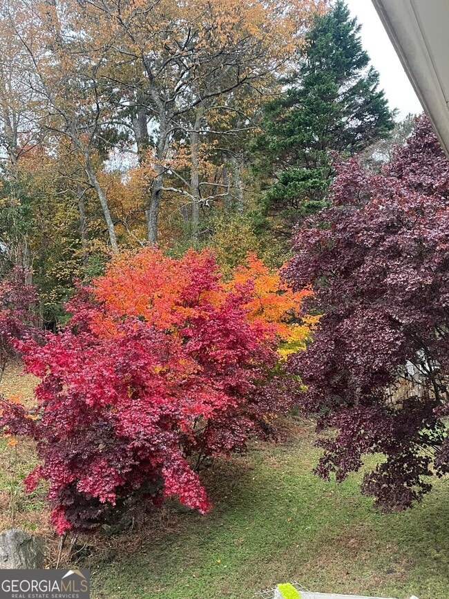 Building Photo - 156 Plantation Trce