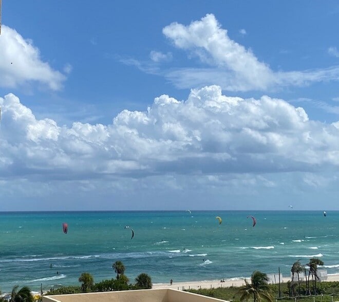 View - 2555 Collins Ave