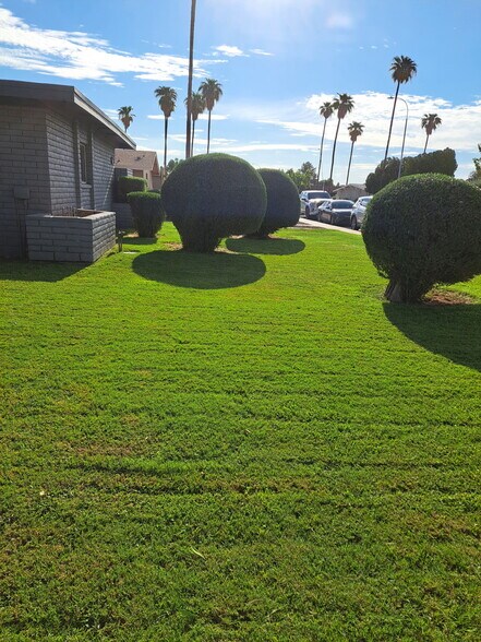 BIG FRONT YARD - 1058 W Flint St