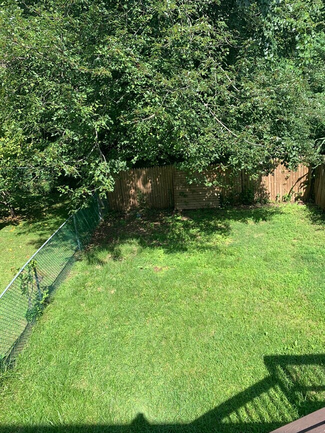 Backyard - 1317 Gabes Pl