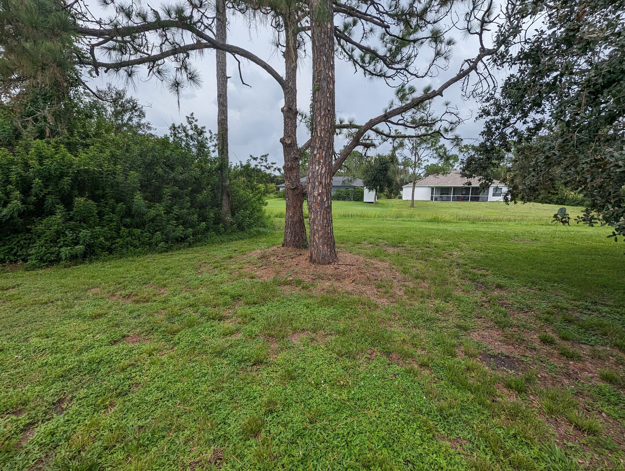 Backyard - 3740 Giblin Dr