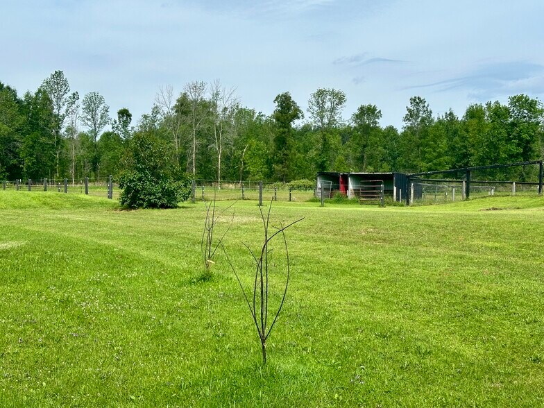 Building Photo - 7166 Sundew Rd
