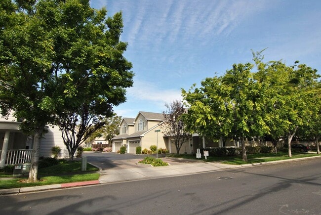 Building Photo - Amazing Downtown Campbell Location * Hardwood Floors * Spacious and Bright