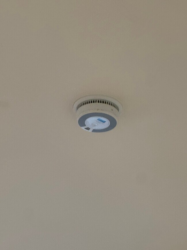 Building Photo - 77 Marshall St