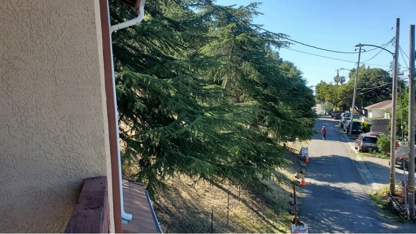 Building Photo - 9028 Burr St