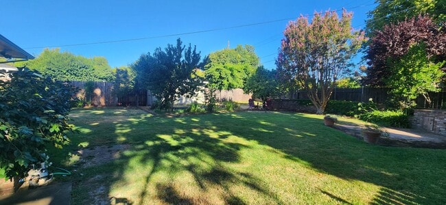 Building Photo - 3 Bedroom 1 Bathroom Charmer in Hollywood ...