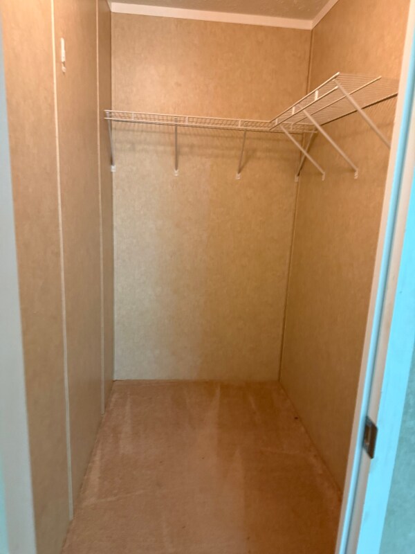 Building Photo - 267 Little Cove Creek Dr
