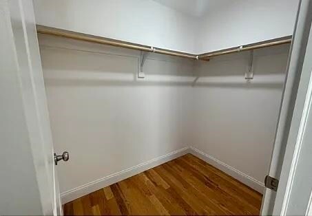 Building Photo - 188 Custer Ave