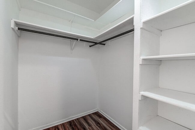 Building Photo - Recently renovated, move-in ready 3/2 home...