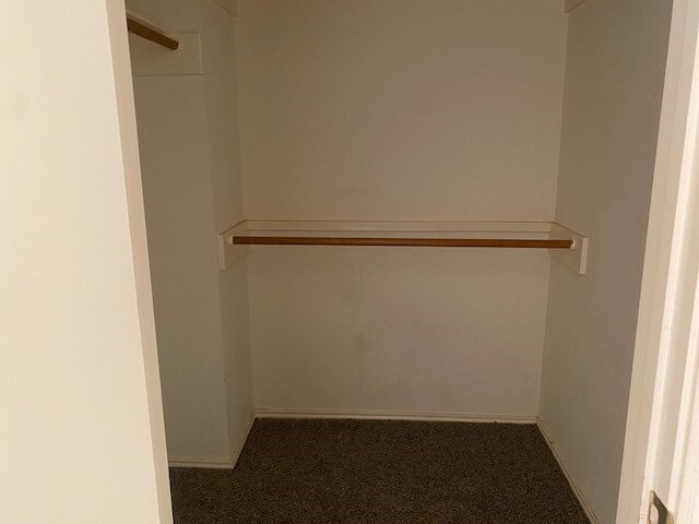 Building Photo - 1938 Courtside Pl Dr