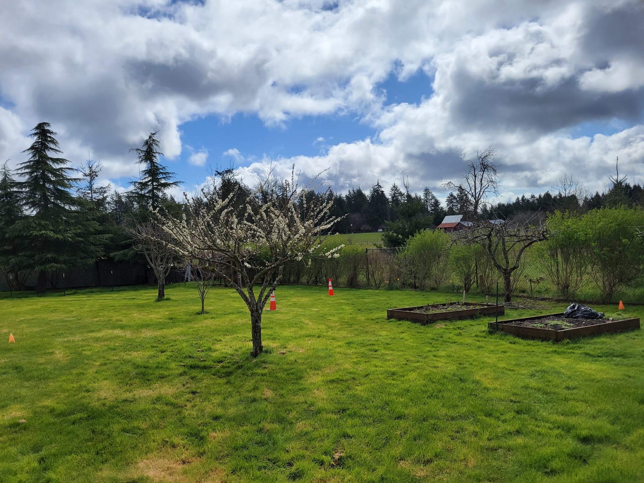 Building Photo - 879 King Rd