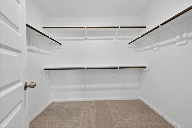 Building Photo - 2348 Mooneye Ct