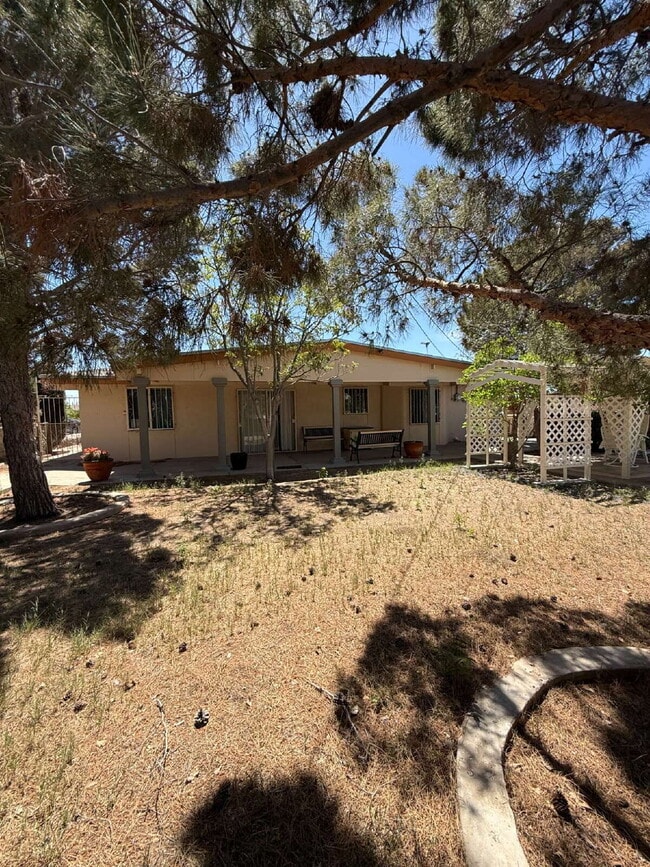 Building Photo - 10449 Chinaberry Dr