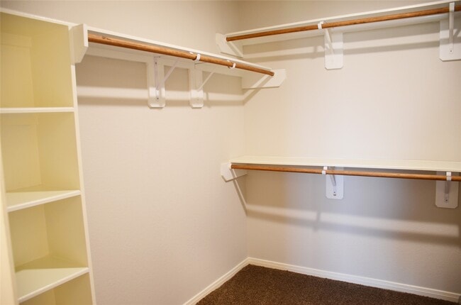 Building Photo - 9507 Green Maple Ct