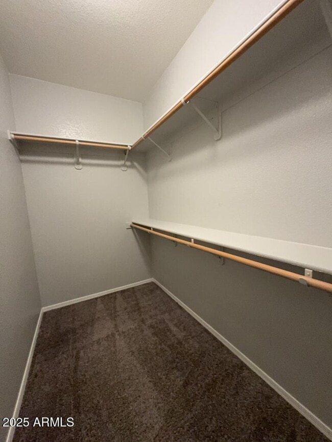 Building Photo - 3828 Big Bend St