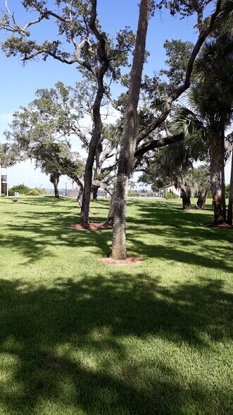 Oak trees - 441 N Harbor City Blvd