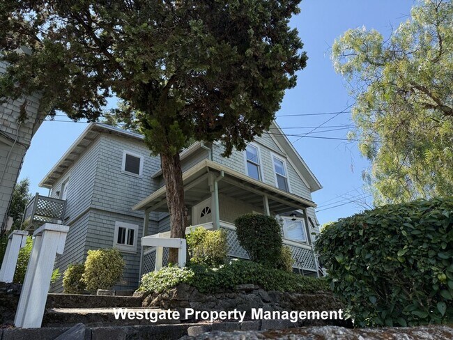 Primary Photo - 15 Stanley St