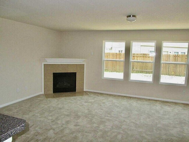 Building Photo - 4810 Blue Spruce Hill St
