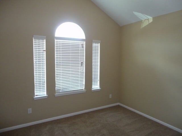 Building Photo - 19223 Anthurium Ct