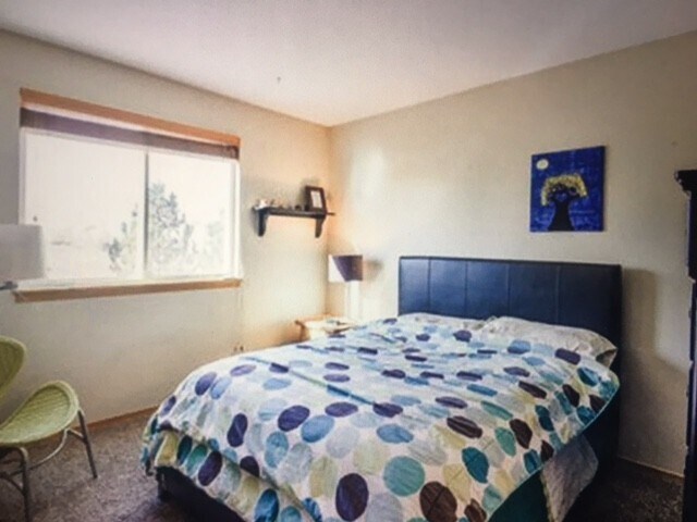 Building Photo - Beautiful 4 bed High End home in West Fort Collins