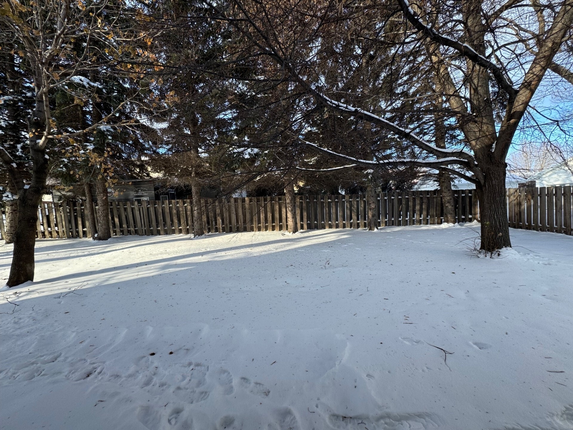 Building Photo - 2404 N 7th St