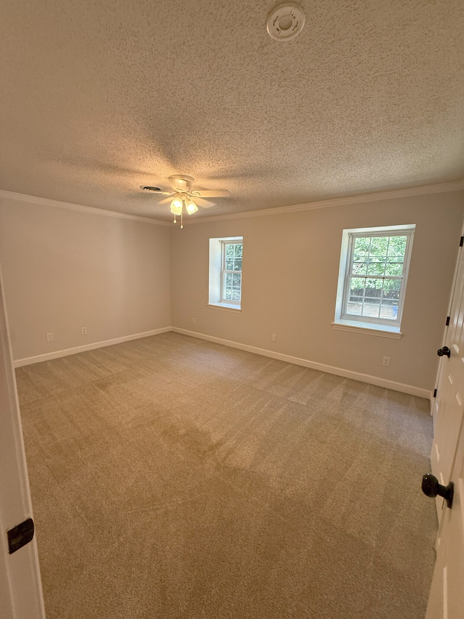 Building Photo - 1337 Springlawn Ct