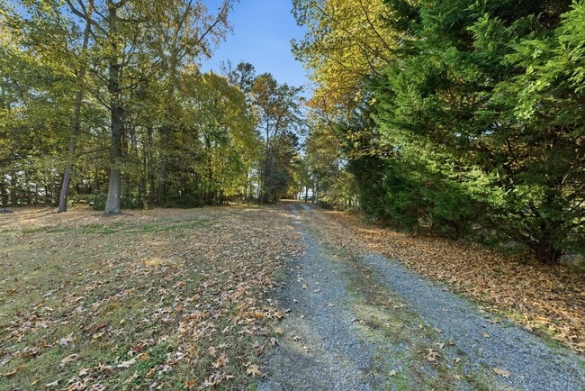 Building Photo - 1611 York Rest Ln