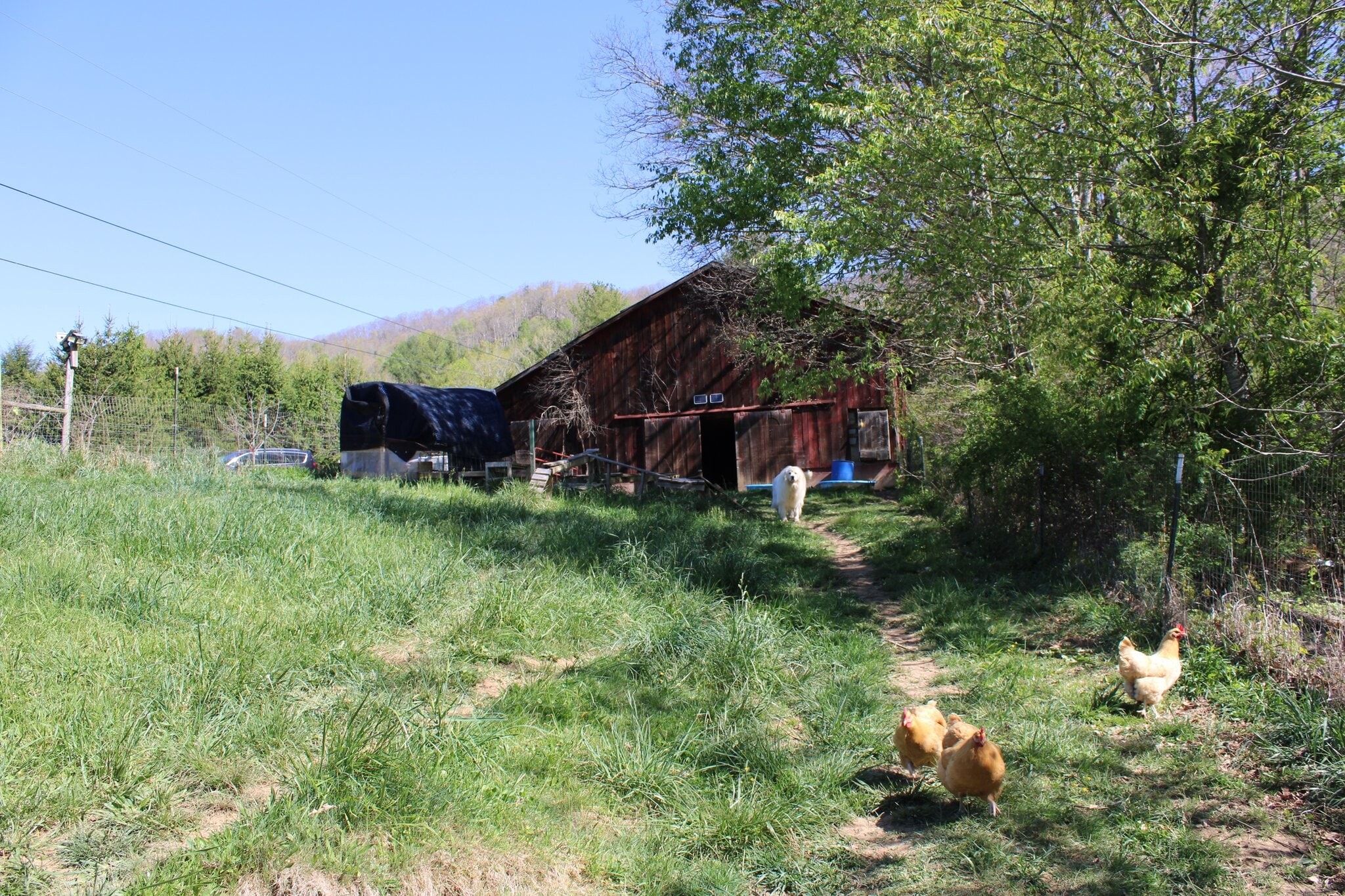 Building Photo - 273 Old Railroad Grade Rd