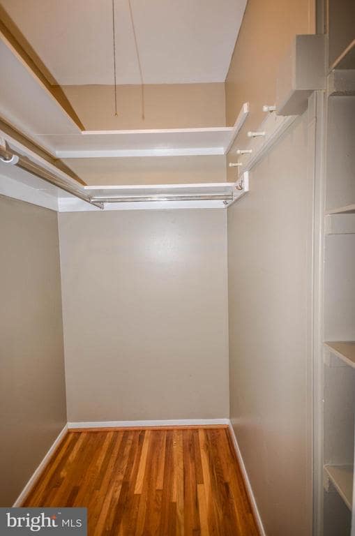 Building Photo - 4805 Willet Dr