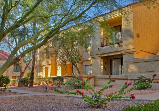 Building Photo - Resort-Style Living in the Heart of Scottsdale Ranch