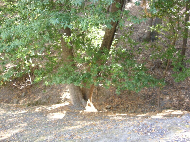 Building Photo - 25 Clay Ct