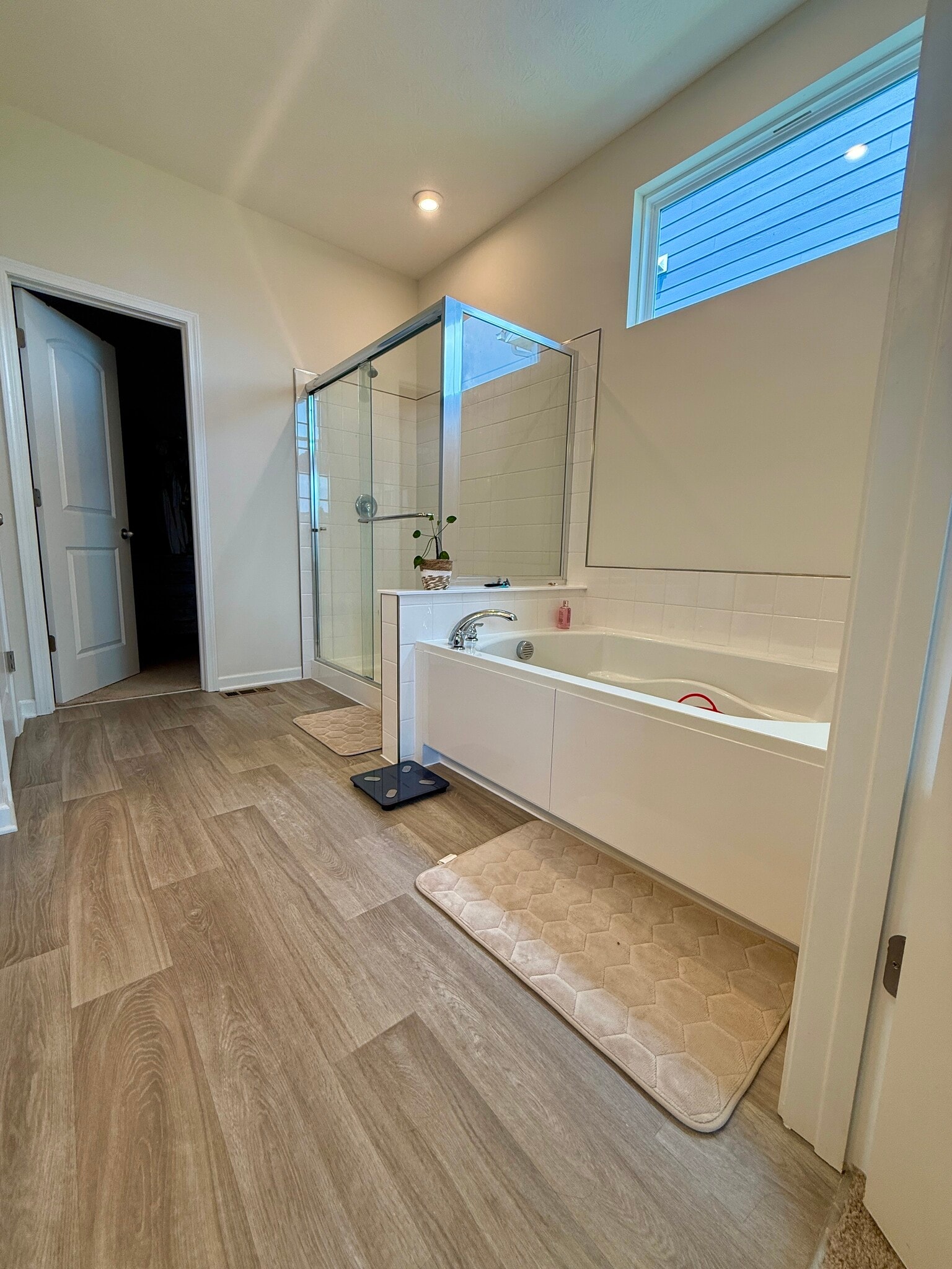 Master Bath - 2062 Broccoli Dr
