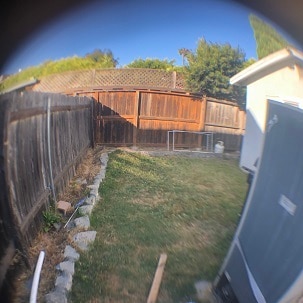 Yard - 10741 Westminster Ave