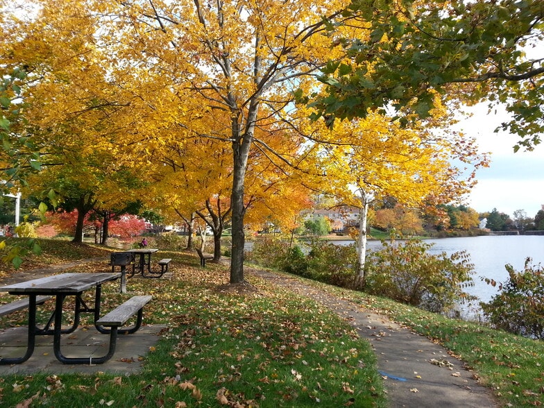 Walking/Jogging Trails around lake - 2920 Yarling Ct