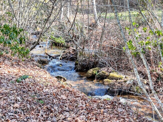 Building Photo - 3035 Skeenah Gap Rd