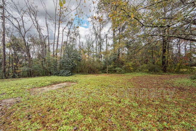 Building Photo - 209 Testament Ln