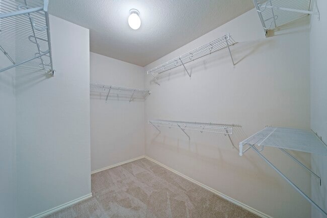 Building Photo - 10411 Deer Branch