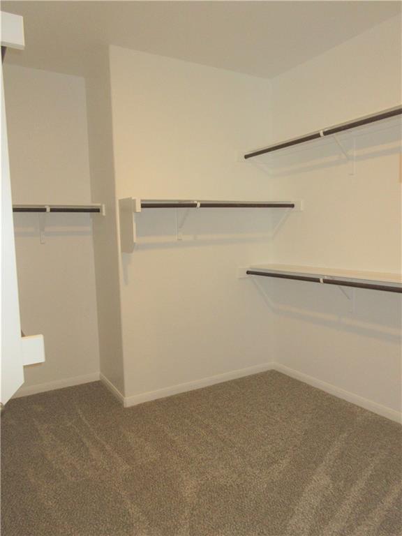 Building Photo - 1017 Sundrops St