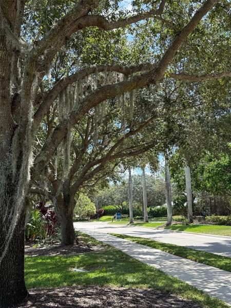 Building Photo - 187 SE Via Sangro