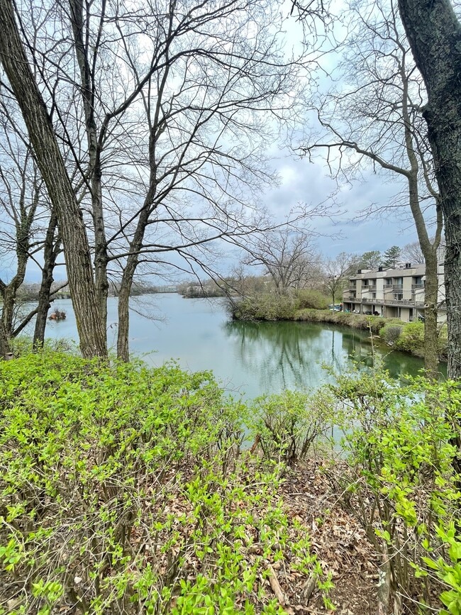 Building Photo - 1471 Cliff Ct