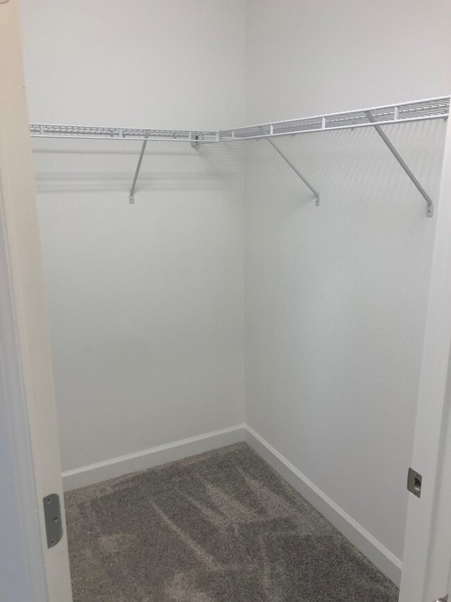 Building Photo - Just Listed!  3/2.5 Located In Beautiful Panther View - Horizon West