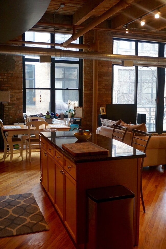 Natural lighting - 2300 W Wabansia Ave